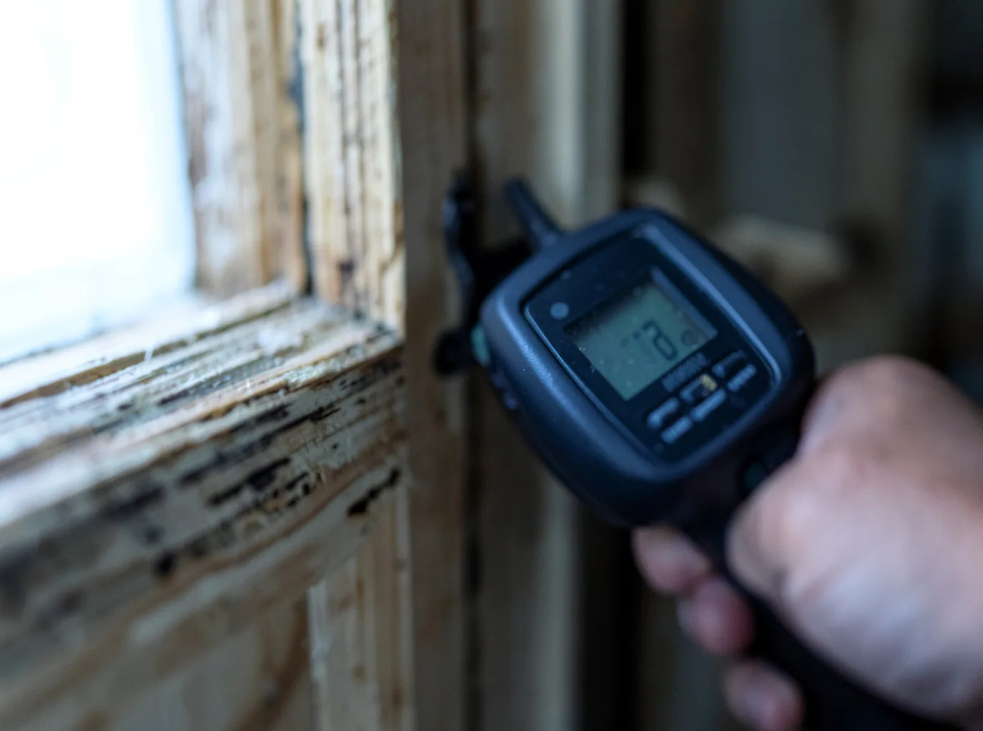 Moisture Inspection And Documentation in Carbon Cliff, IL